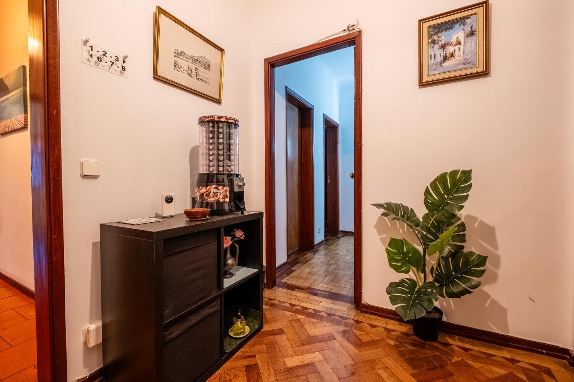 Celas Dream Studio Coimbra Exteriér fotografie